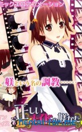 Tadashii maid no shitsukekata